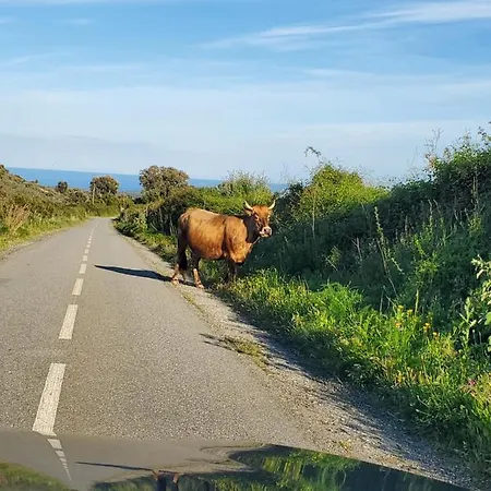 Marina Di Bravone 4* Linguizzetta