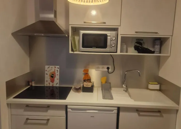 Appart hôtel Marina Di Bravone Linguizzetta